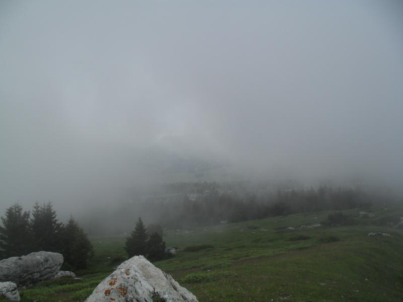 Brume au sommet