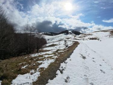 Randonnée blanche -Orgon / pise