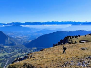 B81B3287-7C41-4EA7-BBCE-87B7BEE40280.