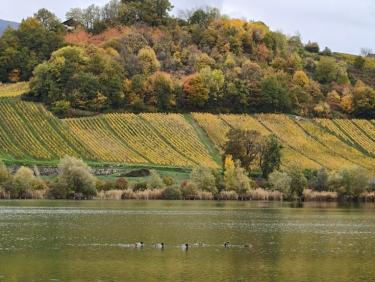 🇺🇦 Balade dans le quartier