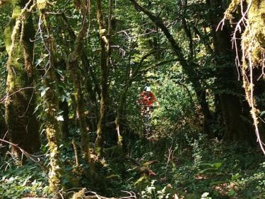 Sortie VTT "sanglier" into the wild