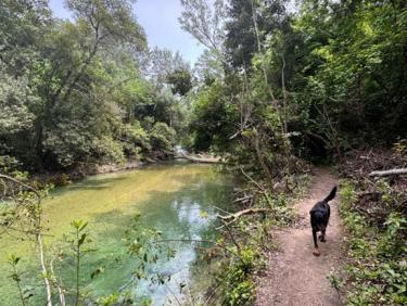 Randonnée dans les Gorges de la Siagne