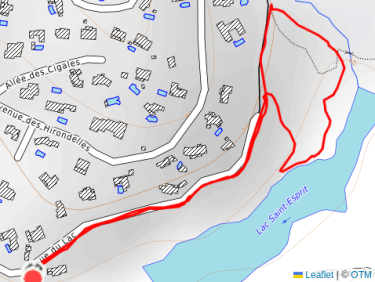 Balade en soirée avec Thalie 🐕