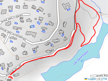 Balade en fin d’après-midi avec Thalie 🐕