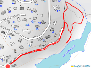 Balade l’après-midi avec Thalie 🐕