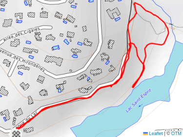 Balade l’après-midi avec Thalie 🐕