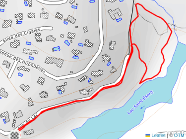 Balade l’après-midi avec Thalie 🐕