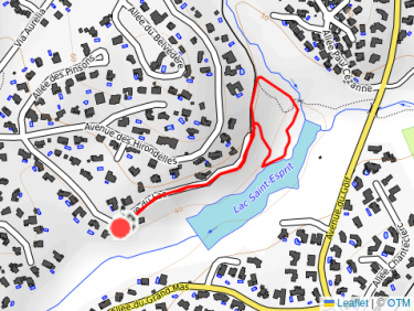 Balade l’après-midi avec Thalie 🐕