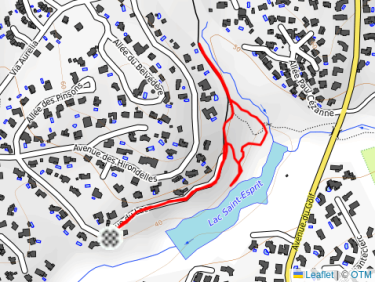 Balade l&apos;après-midi avec Thalie 🐕