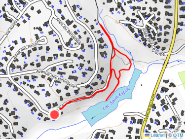 Balade l&apos;après-midi avec Thalie 🐕