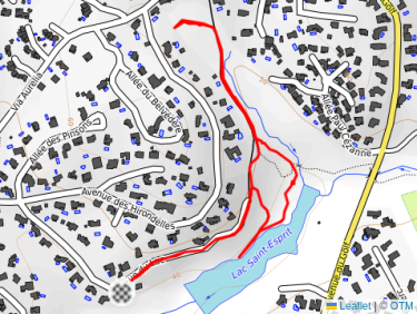 Balade l&apos;après-midi avec Thalie 🐕