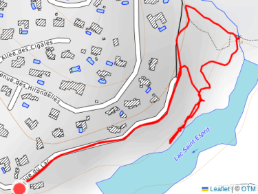 Balade l&apos;après-midi avec Thalie 🐕