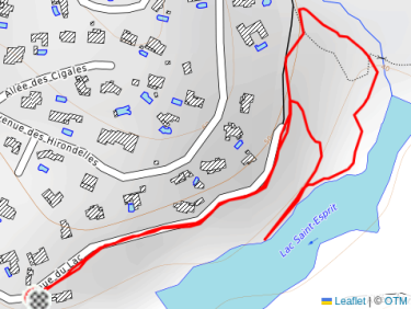 Balade l&apos;après-midi avec Thalie 🐕