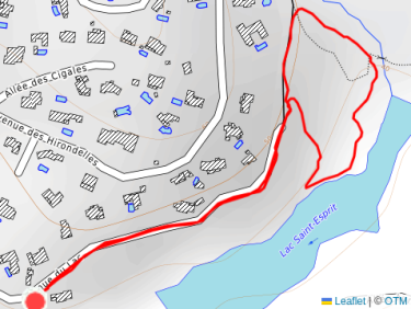 Balade l&apos;après-midi avec Thibault, et Thalie 🐕
