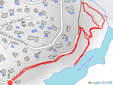 Balade matinale avec Thalie 🐕