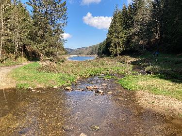 Barrage du Pas du Riot depuis la passerelle sur le Furan
