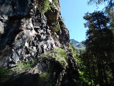 Baume de LondonniÃ¨re