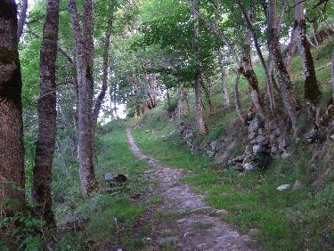 beau sentier au dessus de Tincave
