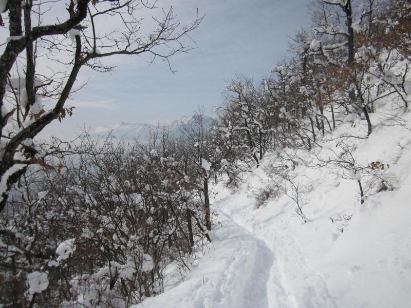 beaucoup de neige et du ciel bleu