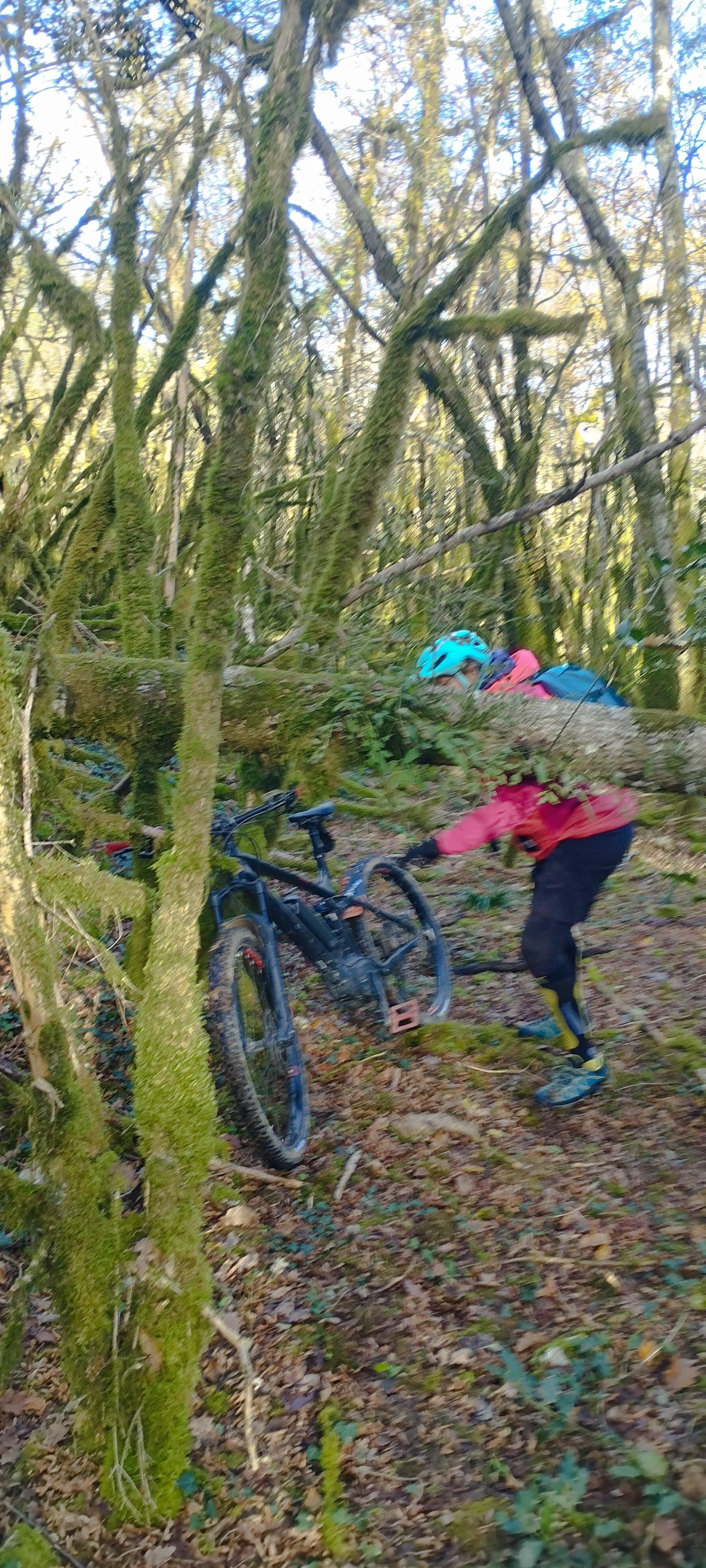 Beaux singles Belleysan. Des singles a gogo