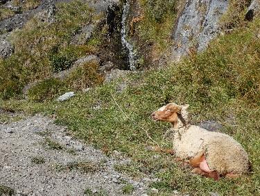 BÃ¨Ã¨Ã¨Ã¨Ã¨Ã¨Ã¨Ã¨Ã¨