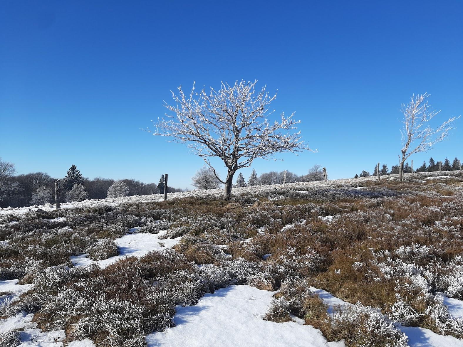 Belle ambiance hivernale