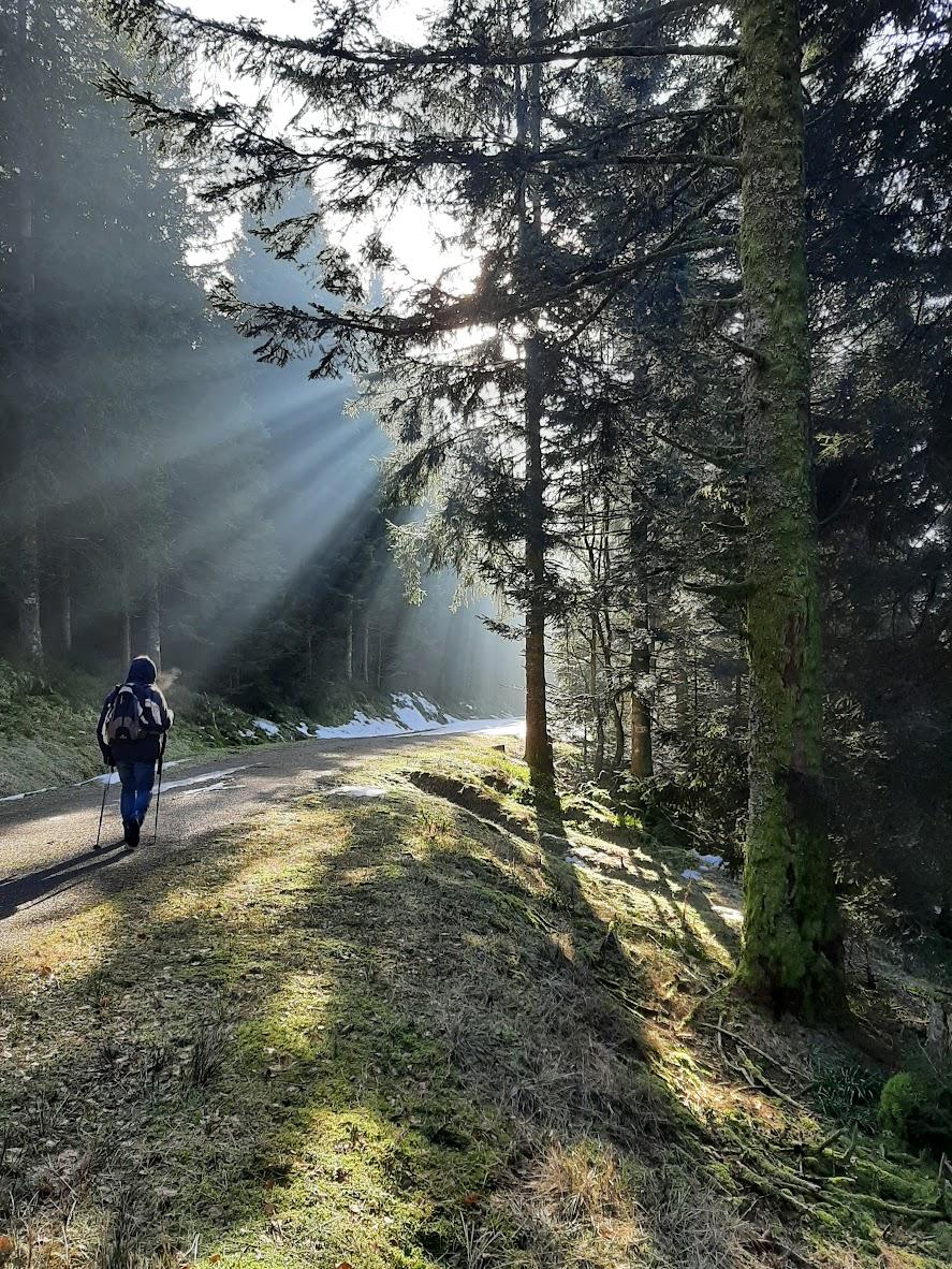 Belle ambiance hivernale