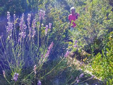Belle boucle avec descente de pierrier !