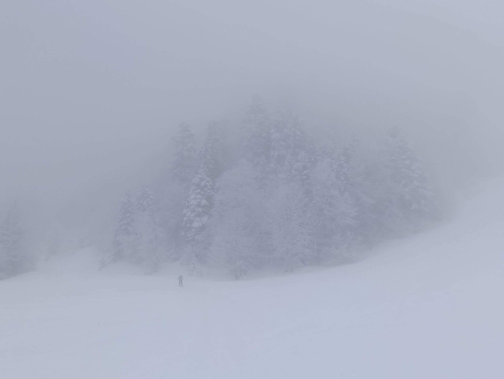 La Belle Murielle