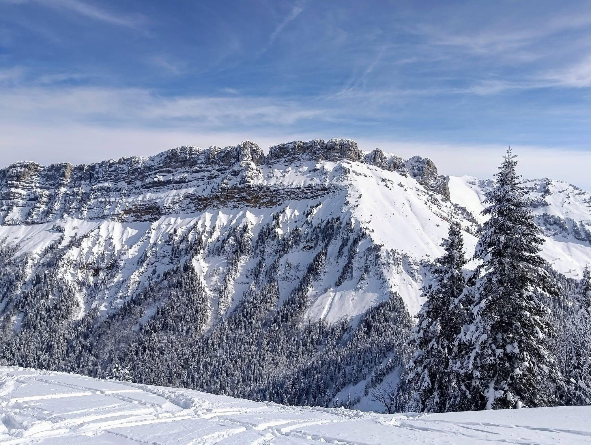 La Belle Murielle