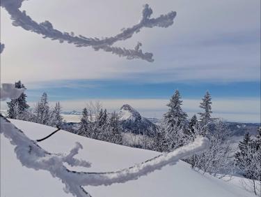 La Belle Murielle (La Scia)