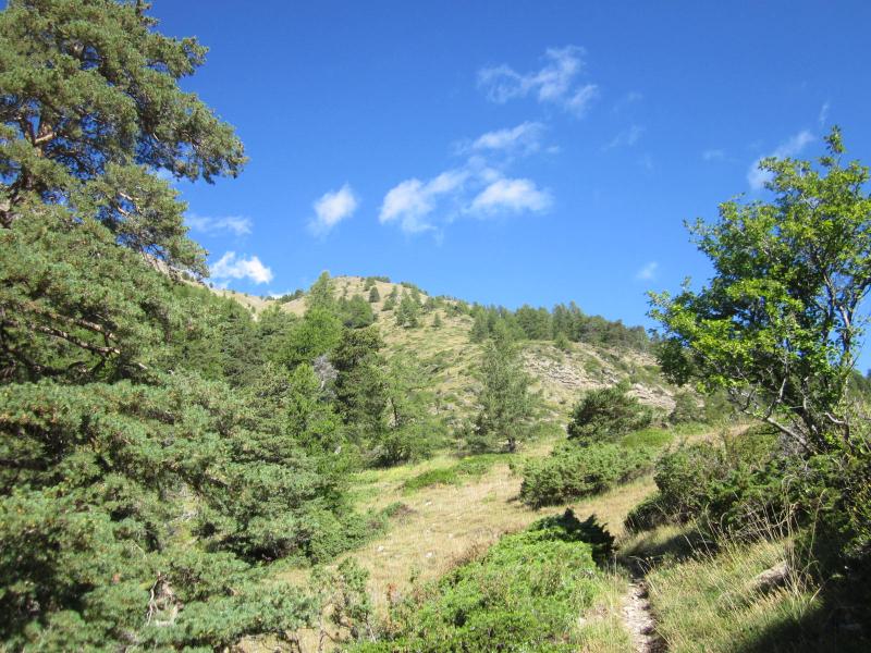 belle montée