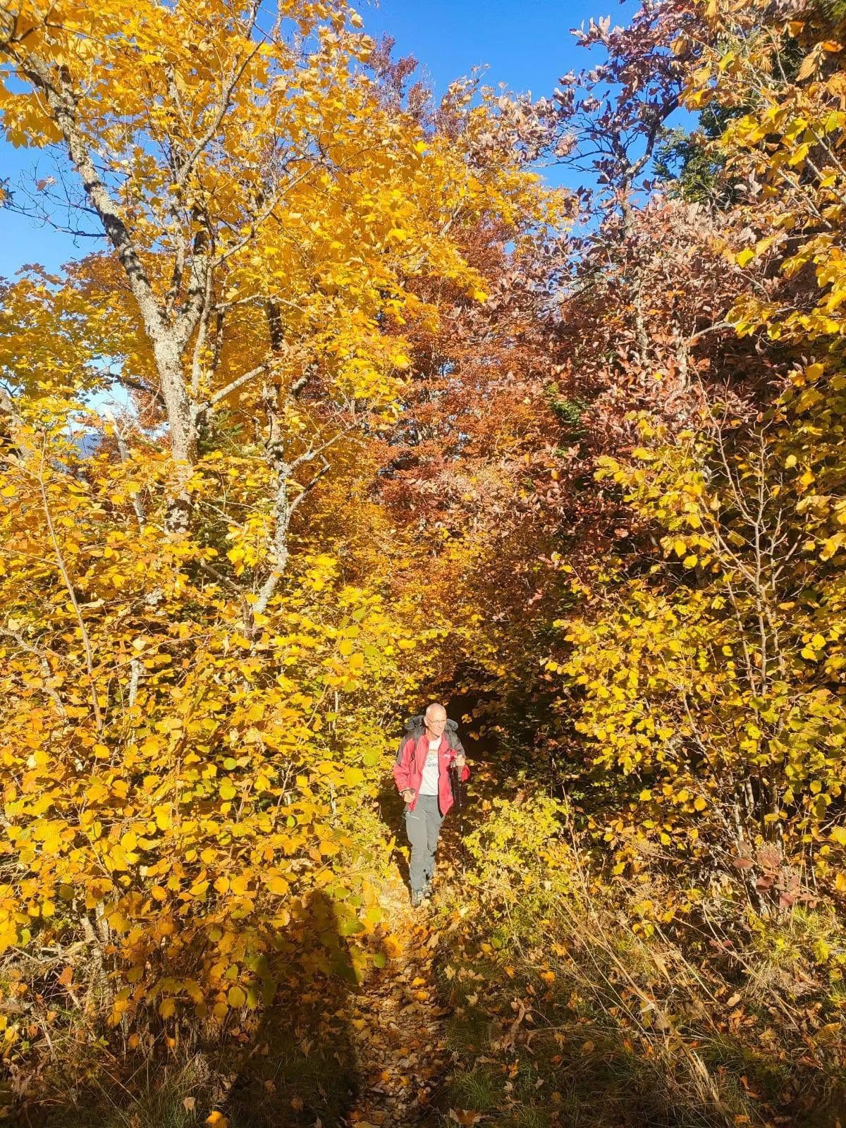 Le belvédère des gens heureux