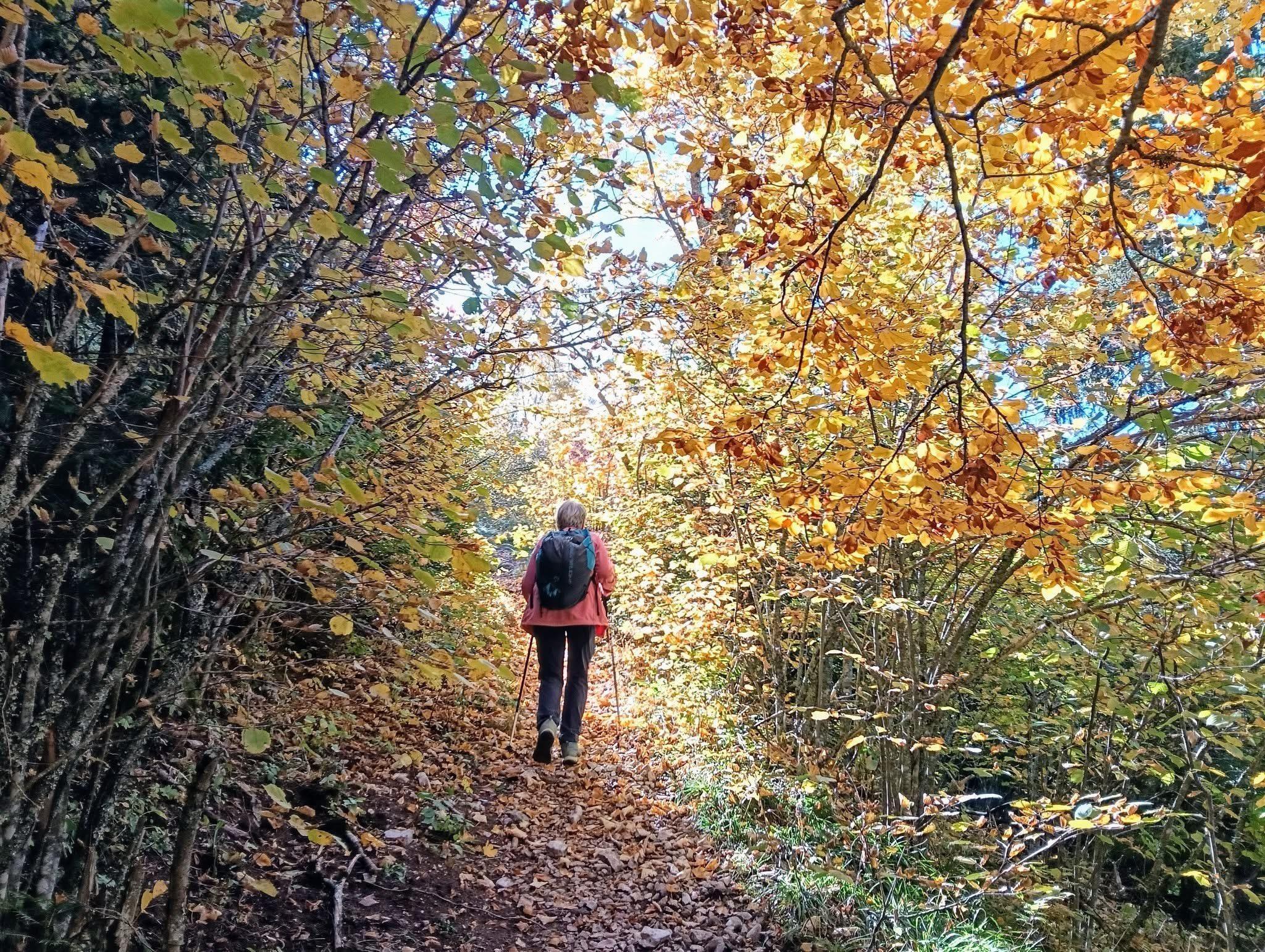 Le belvédère des gens heureux