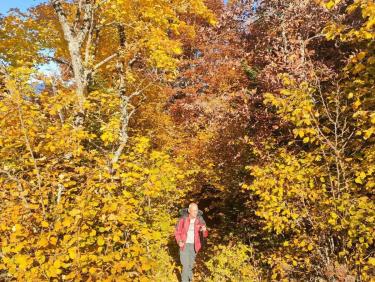 Le belvédère des gens heureux