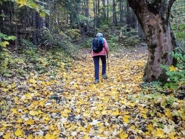 Le belvédère des gens heureux