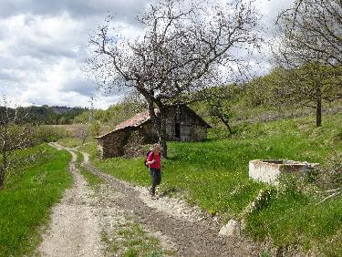 Bergerie des Petites Blaches
