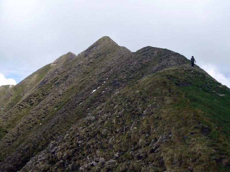 bientot le sommet du Fleuri