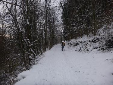 Bis repetita placent