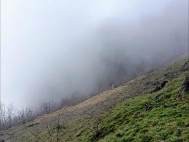 Bis repetita placent