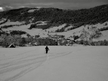 Blablasanglier depuis Les Vincents
