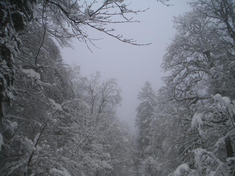 bleu et brouillard
