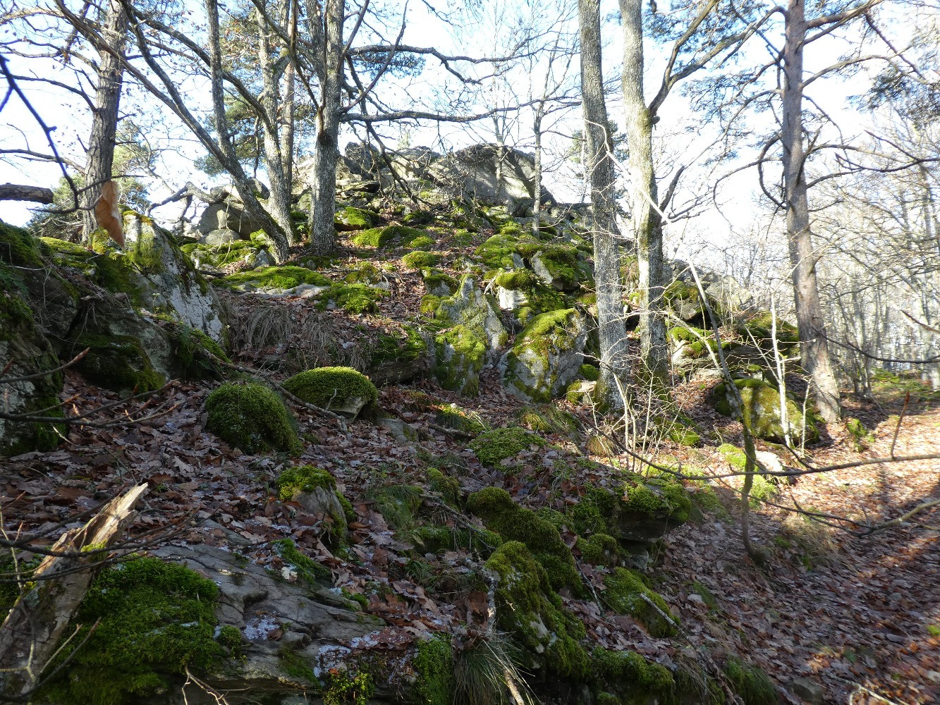 Bloc sommital d'Orsier, cÃ´tÃ© sud-est