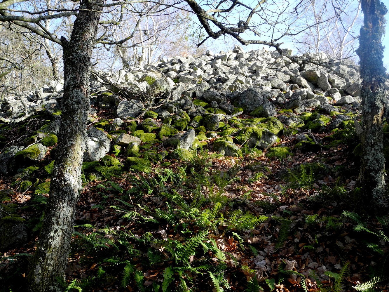Blocs au sommet du tumulus