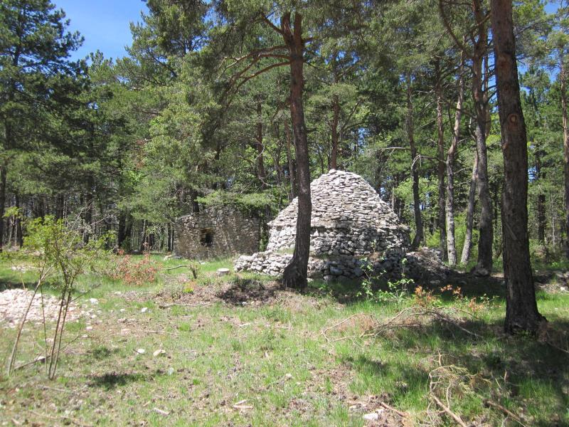 borie dans les bois