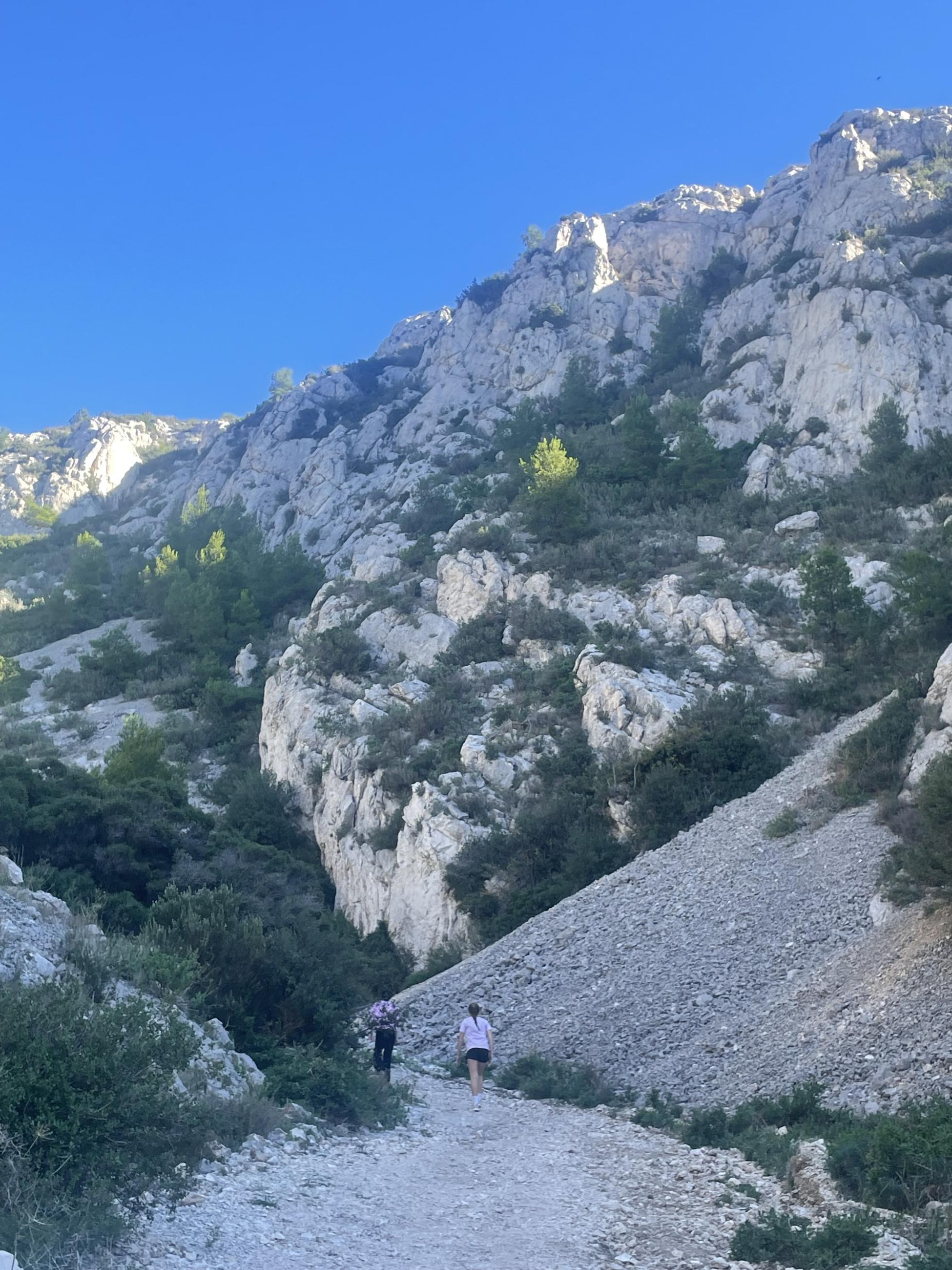 Remontée du vallon ...