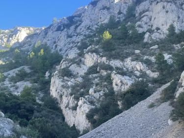 Remontée du vallon ...