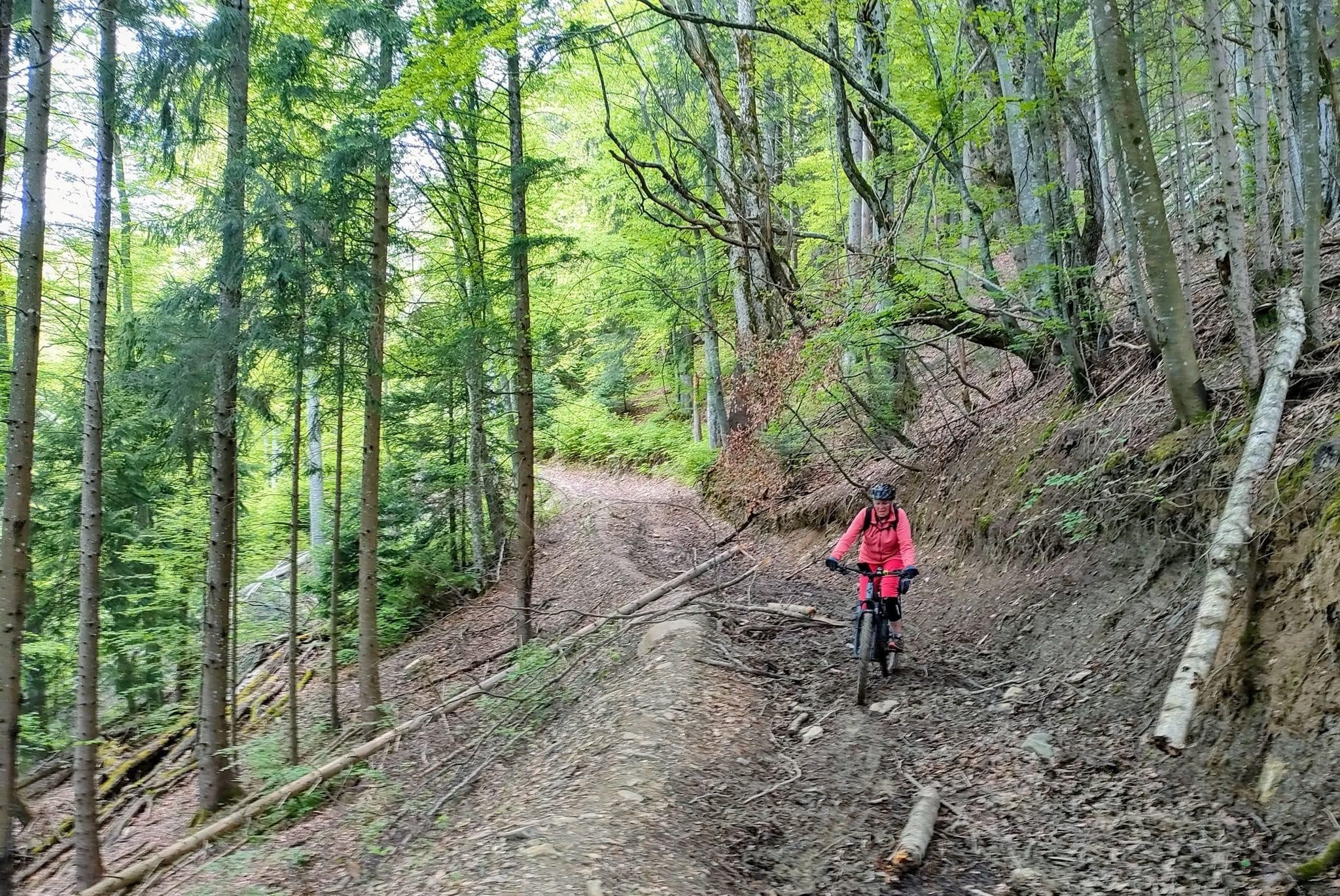 Boucle vtt depuis Goncelin 