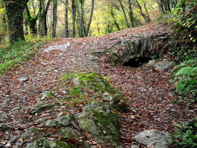 bout d'arche sur le sentier
