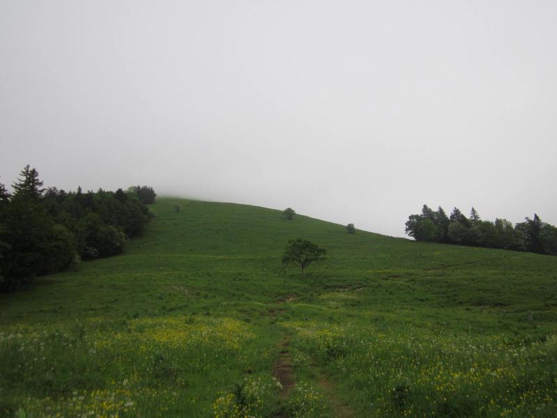 brouillard au Petit Som